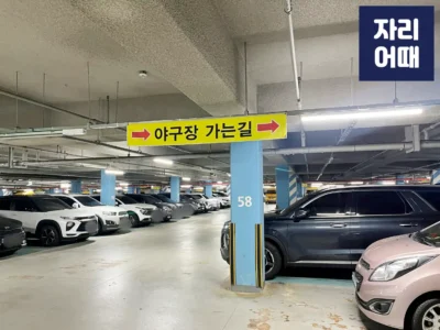 볼파크 2025_IMG_7402_mark